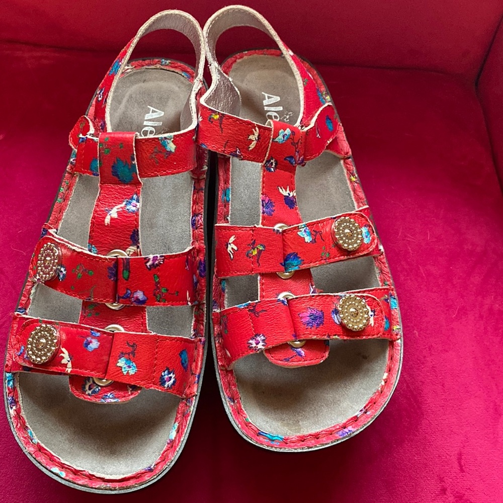 The cutest Alegria sandals-red floral worn once!